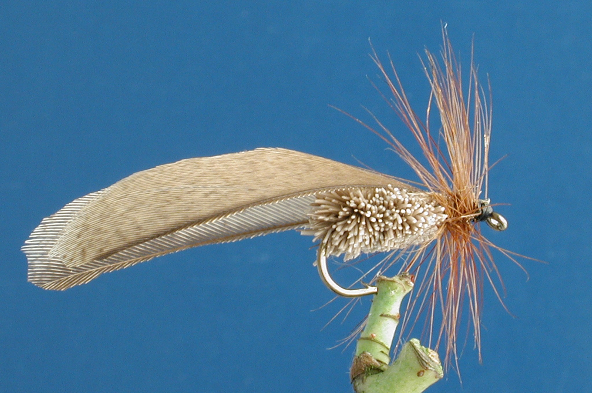 Flying Ant Fly Fishing Flies with Fish4Flies Worldwide